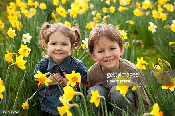 frühling für kinder - daffodils stock-fotos und bilder