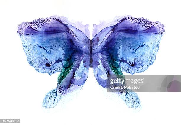 ilustraciones, imágenes clip art, dibujos animados e iconos de stock de mariposa violeta-azul - simetria