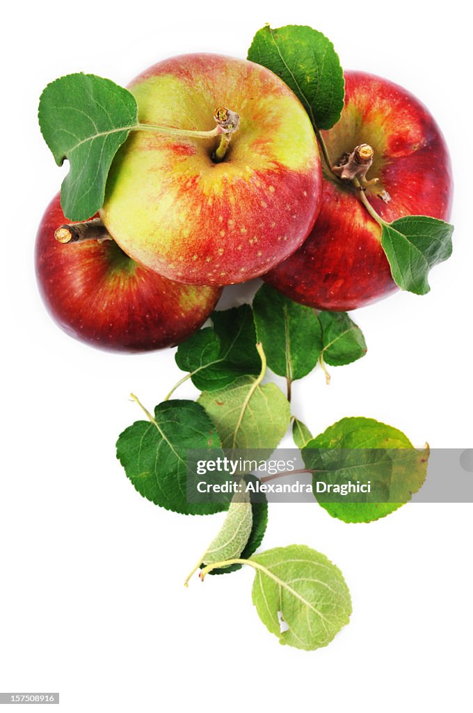 Fresh apples and scattered leaves isolated on white