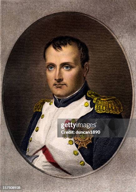 napolean bonaparte - fine art portrait stock illustrations