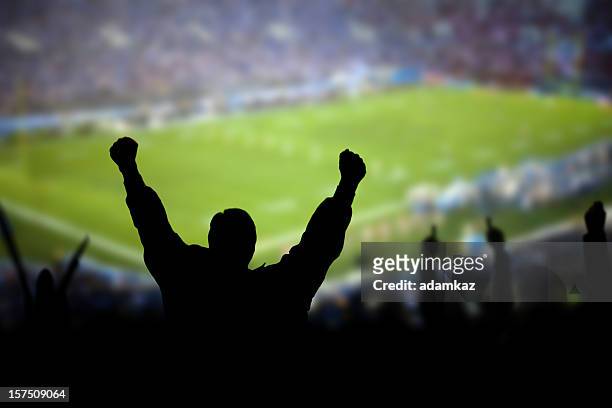 football excitement - football crowd stock pictures, royalty-free photos & images