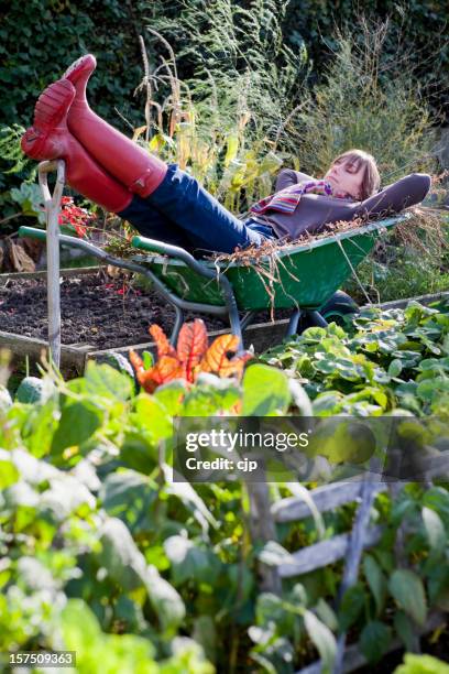 lazy gardener asleep in a wheelbarrow - kruiwagen stockfoto's en -beelden