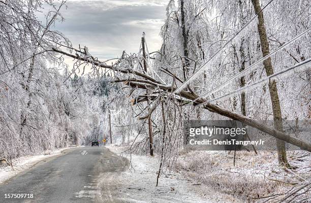 tormenta de hielo de daños - storm fotografías e imágenes de stock