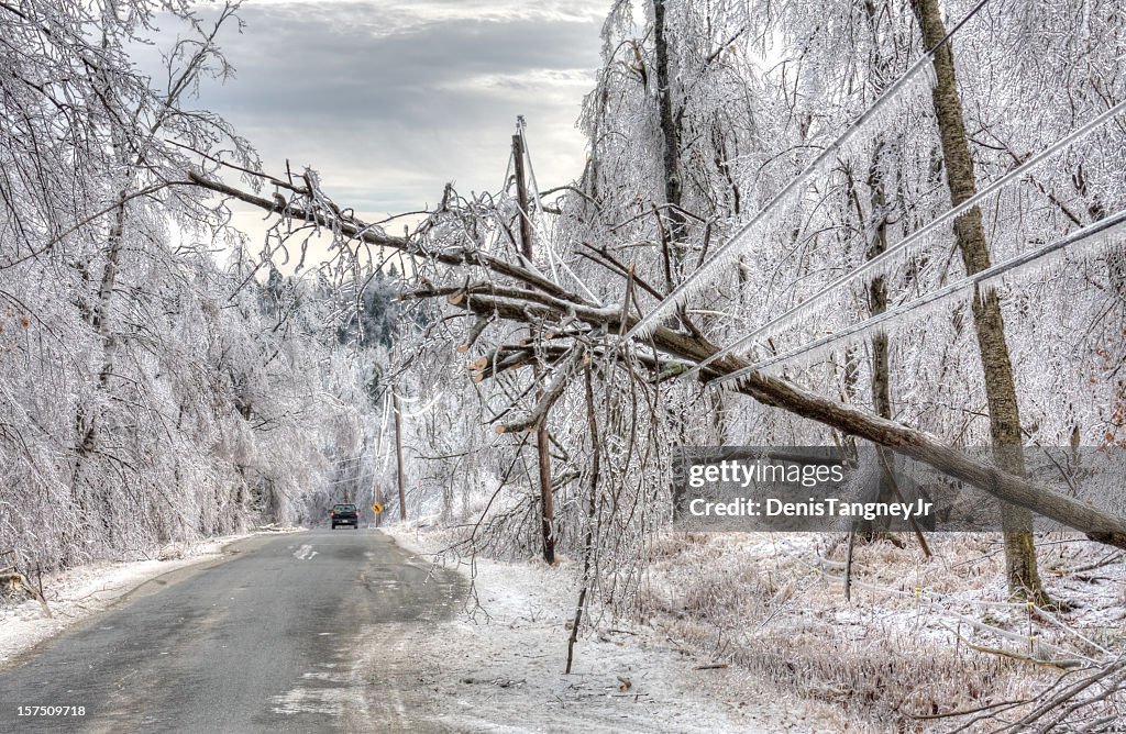Ice Storm Damage