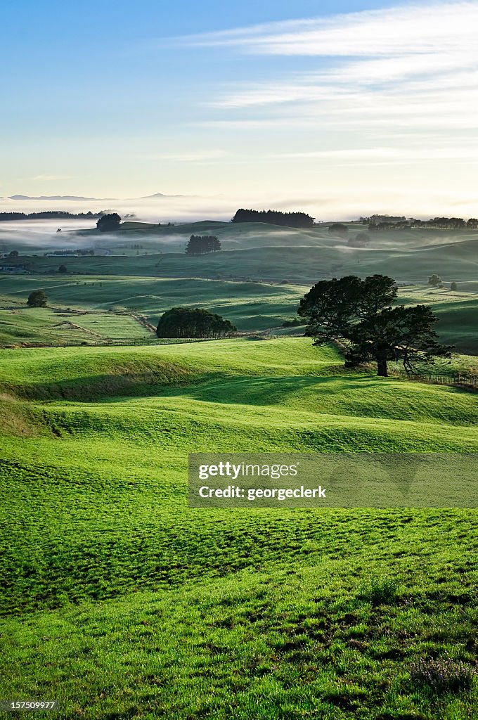 Dawn Mist in Rolling Countryside