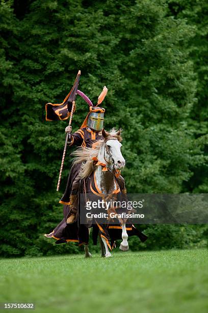 ブラウンの騎士の甲冑の馬の乗馬 - キヘイ ストックフォトと画像