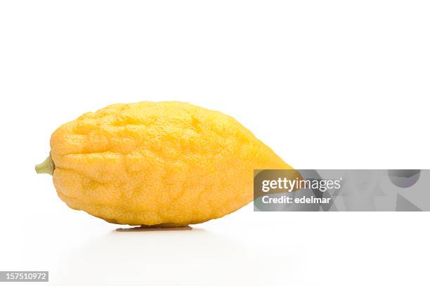 sukkoth lemon - citron isolated stock pictures, royalty-free photos & images