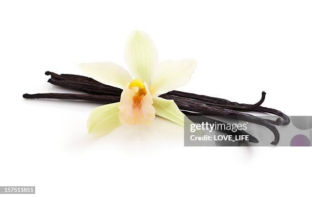 vanilla beans bunched together with a white orchid on top - vanilla stockfoto's en -beelden
