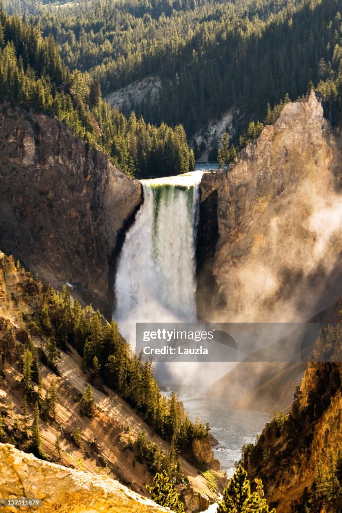 Yellowstone Falls