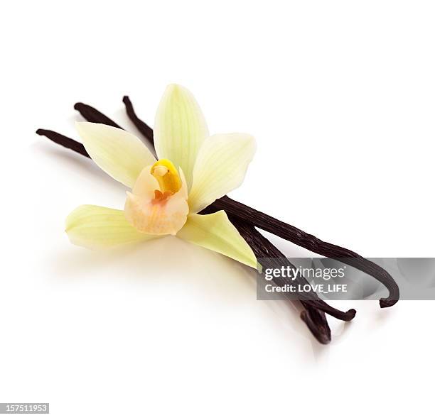 vanilla beans and orchid - vanilla stock pictures, royalty-free photos & images