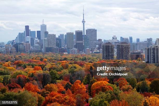 トロントの秋 - toronto ストックフォトと画像