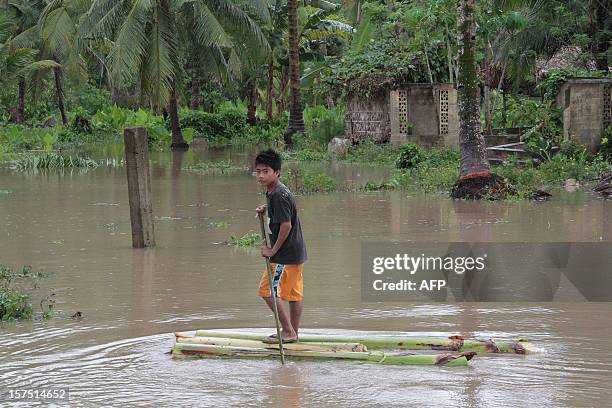 Fruit Tree Raft 34 Banana Tree Raft Stock Photos, High-Res Pictures, and Images - Getty ...
