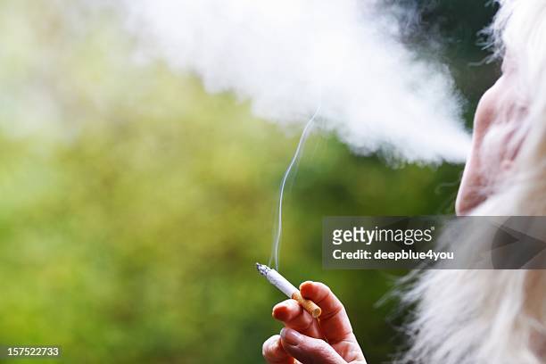 woman`s  hand holding cigarette - exhale stock pictures, royalty-free photos & images