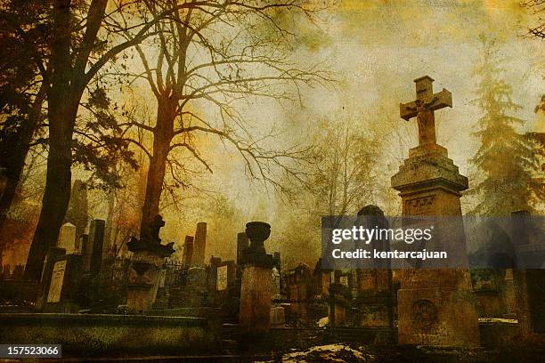 vintage cluj friedhof - cemetery stock-fotos und bilder