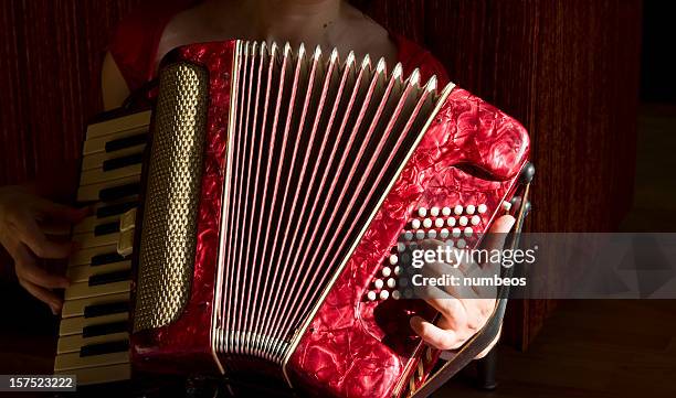 woman playing accordion - bandoneon bildbanksfoton och bilder