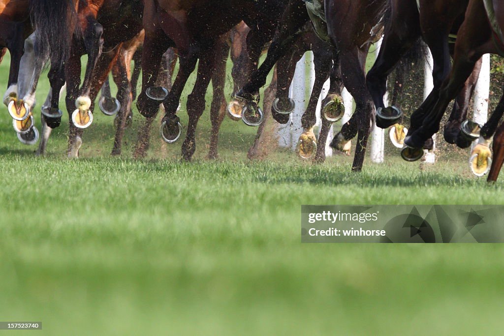 Cheval de course
