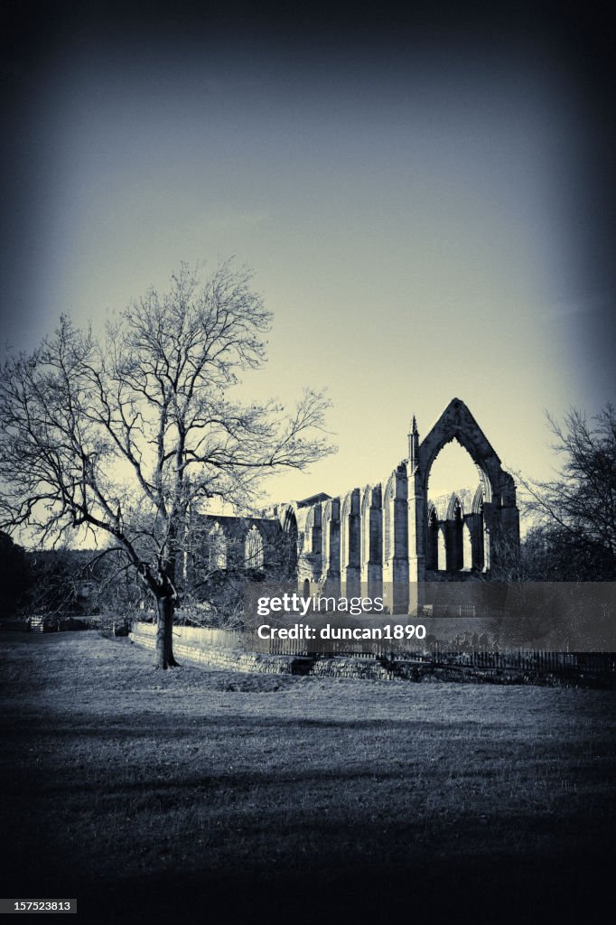 Bolton Abbey Nordyorkshire
