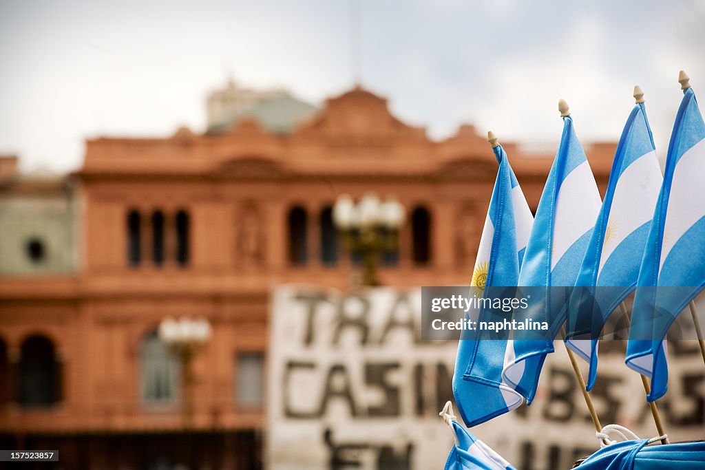 Argentinian flags and Casa Rosada