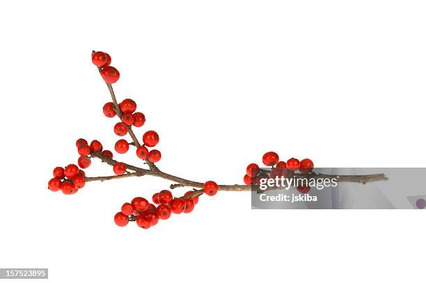 branche avec fruits rouges - twig photos et images de collection