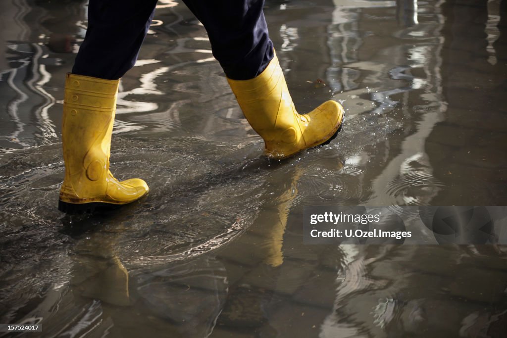 In The Flood Water