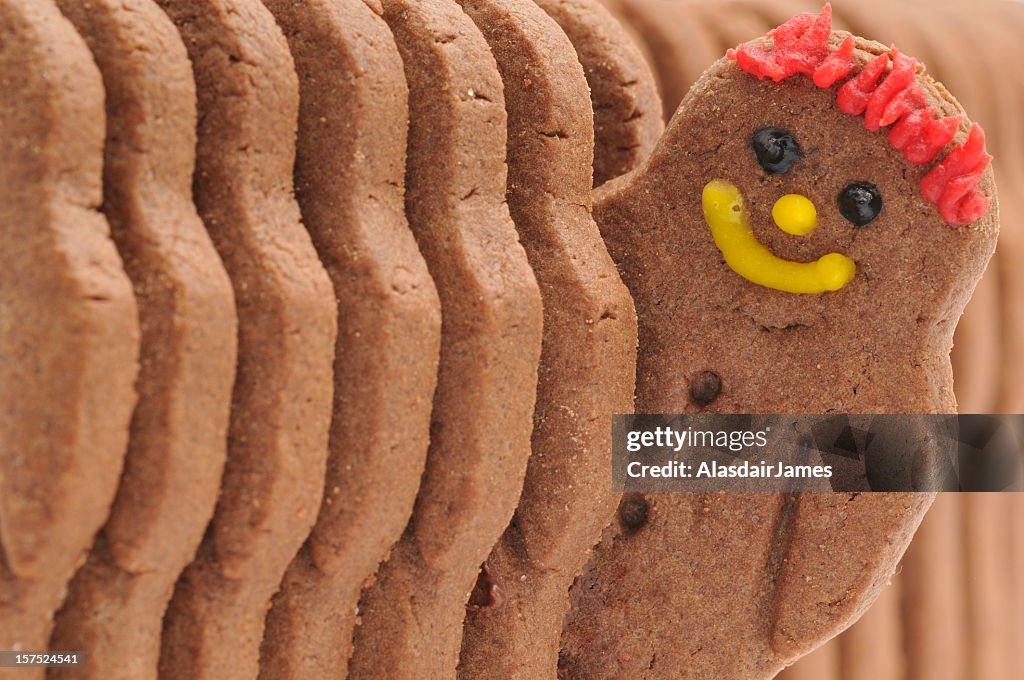 Happy Biscuit