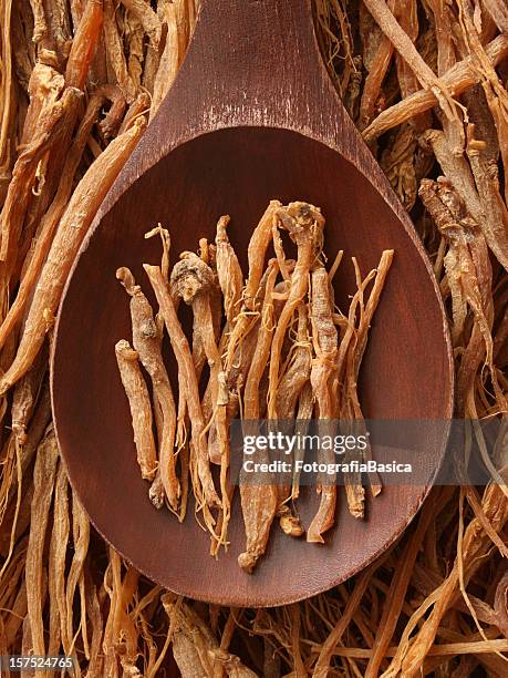 ginseng root - ginseng stockfoto's en -beelden