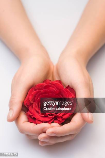 Had Giving Red Roses 994 Giving Red Roses Stock Photos, High-Res Pictures, and Images ...
