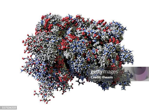 molecule of human interferon - enzyme structure stock pictures, royalty-free photos & images