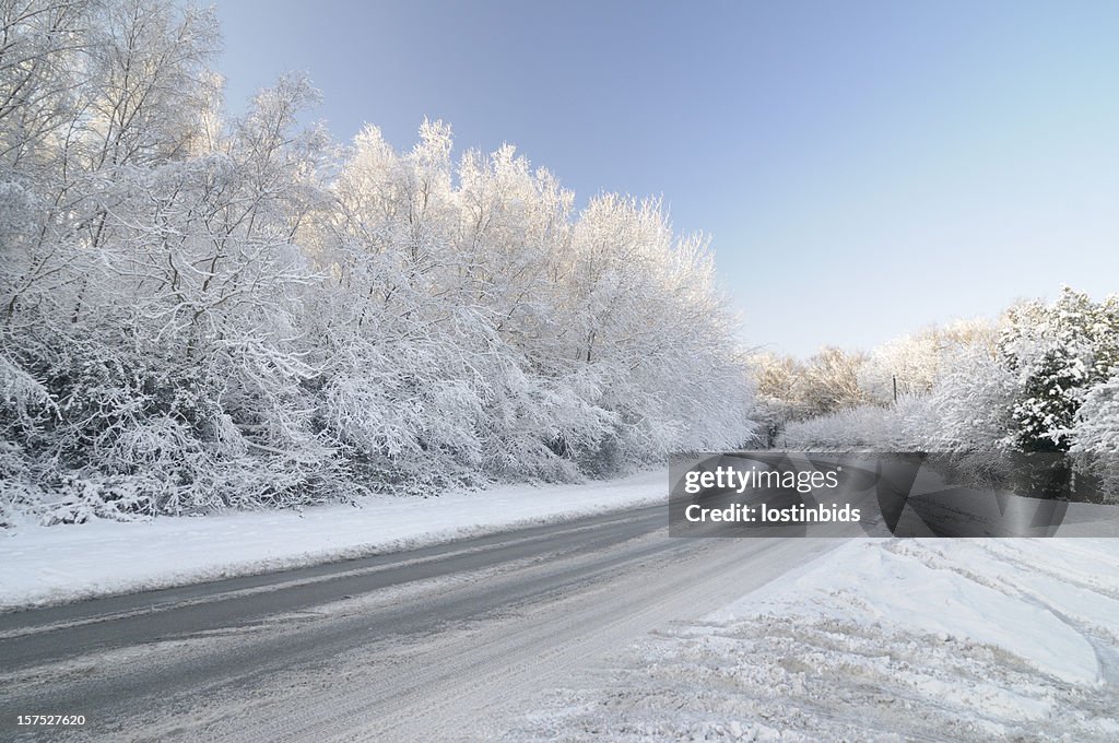 Untreated Road with Snow Laden Tree