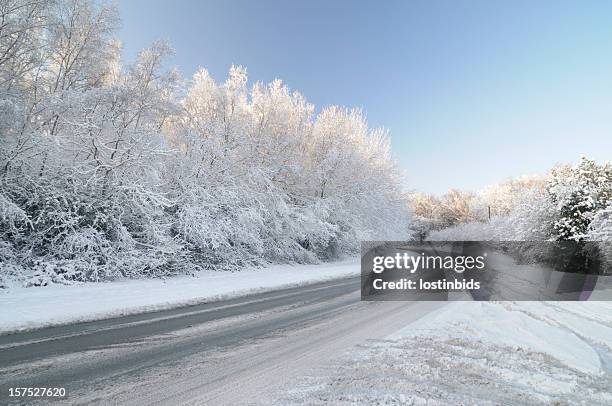 untreated road with snow laden tree - snow landscape uk stock pictures, royalty-free photos & images