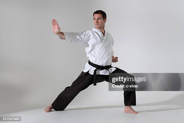 young man in a martial arts pose with a black belt - taekwando stockfoto's en -beelden