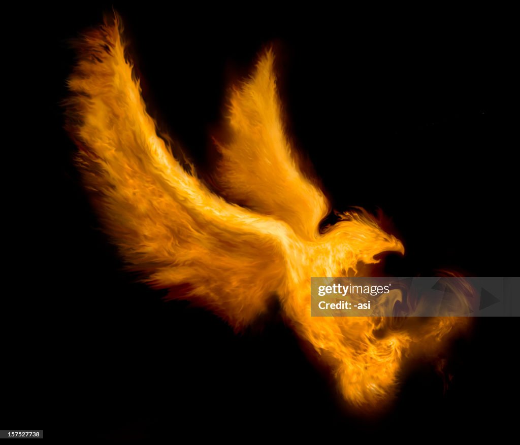 Fire bird