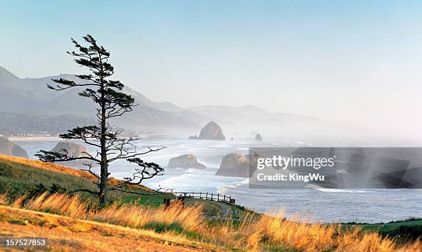 cannon beach - cannon beach imagens e fotografias de stock