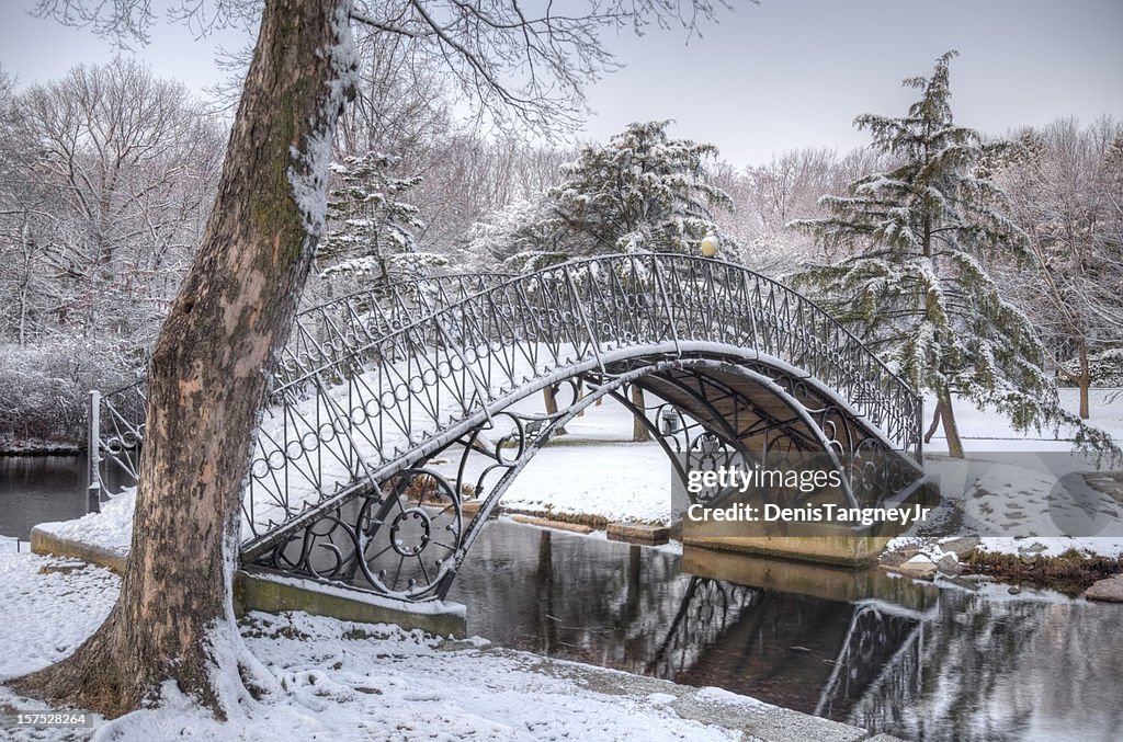 Ponte de Ferro cobertos de neve