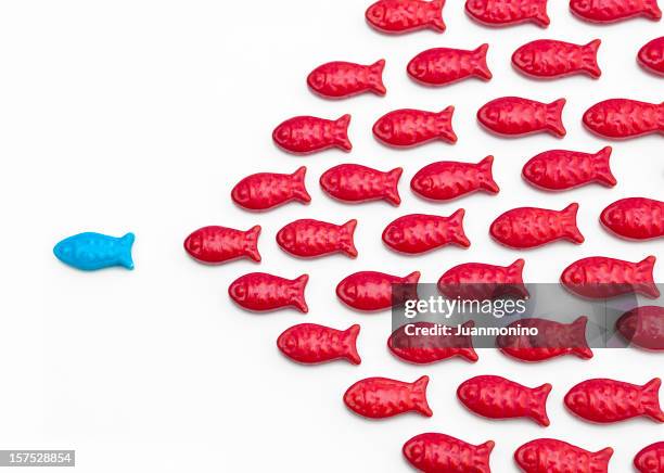 Fish Following Fish Following Fish Photos and Premium High Res Pictures - Getty Images