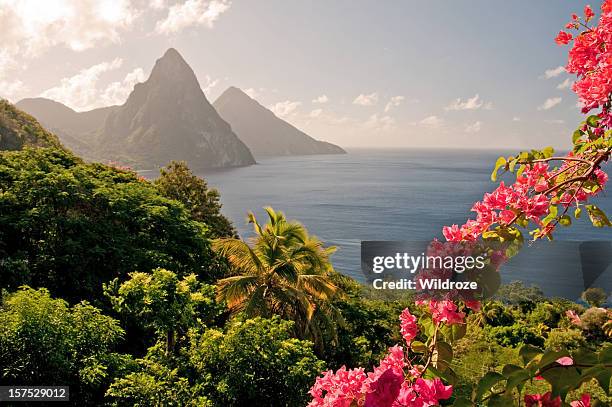 de sainte-lucie est encadré par des pitons jumeaux - caraïbéen photos et images de collection