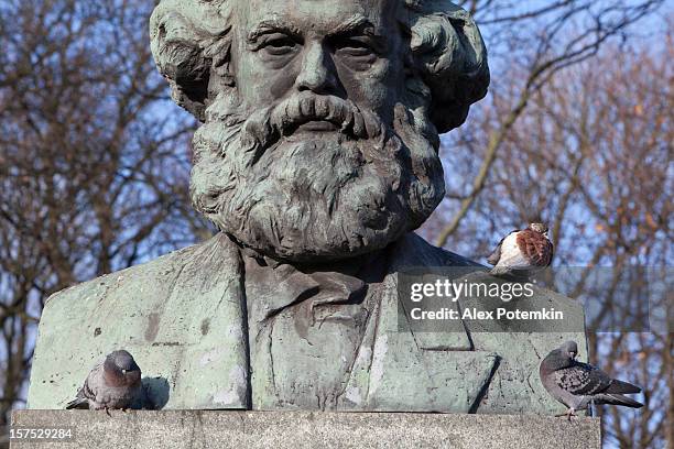 russia, kaliningrad: karl marks and pigeons - karl marx stock pictures, royalty-free photos & images