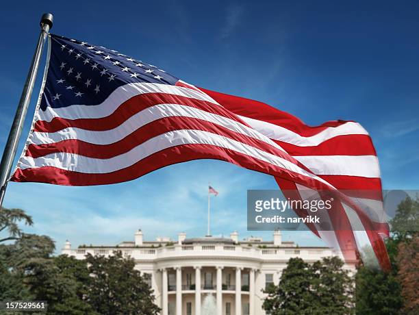 bandiera americana davanti alla casa bianca - continente americano foto e immagini stock