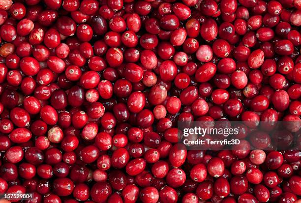 tileable seamless red cranberry fruit background - cranberries stock pictures, royalty-free photos & images