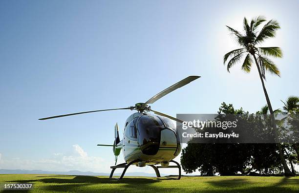 helicóptero e palm tree - helicóptero - fotografias e filmes do acervo