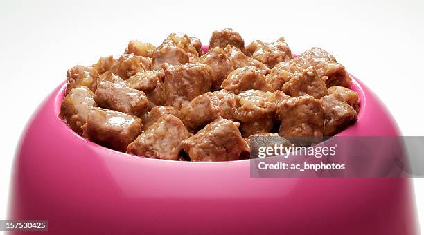 bowl of pet food - dog food stock pictures, royalty-free photos & images