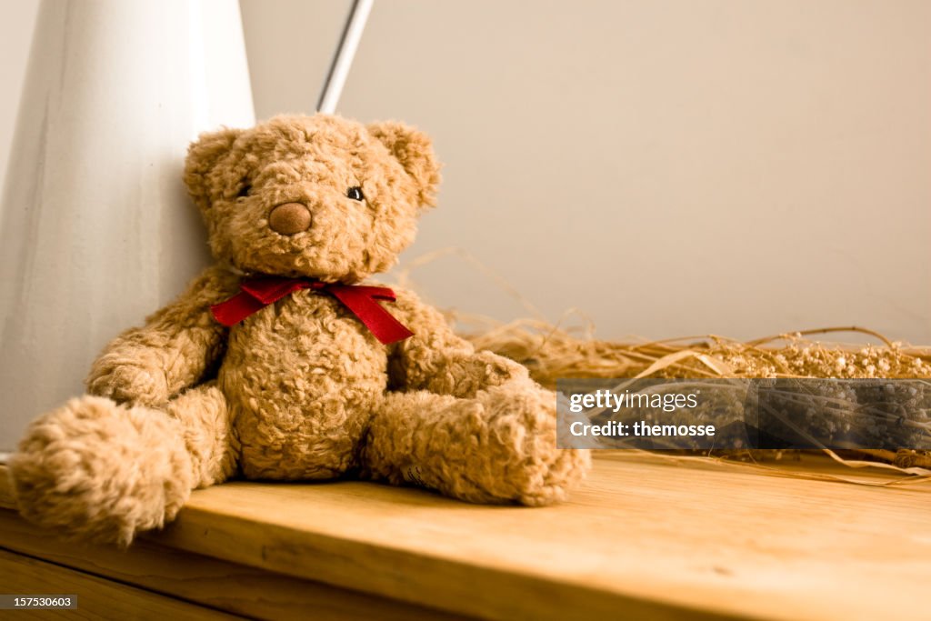Teddy on shelf
