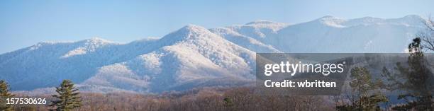 smoky mountain snowfall (xxxl) - gatlinburg winter stock pictures, royalty-free photos & images