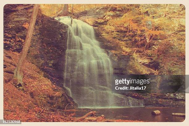 vintage bushkill falls, pa postcard - pennsylvania forest stock pictures, royalty-free photos & images