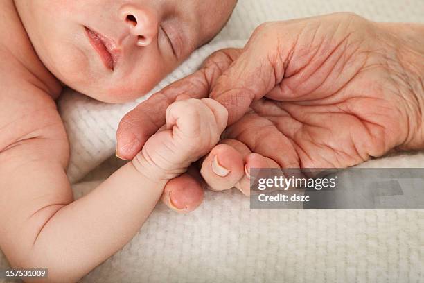 sleeping baby holding great grandmother's hand - grandmother granddaughter stock pictures, royalty-free photos & images