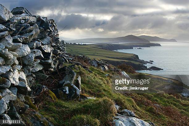 moody irish landscape on dingle peninsula. - shannon river stock pictures, royalty-free photos & images