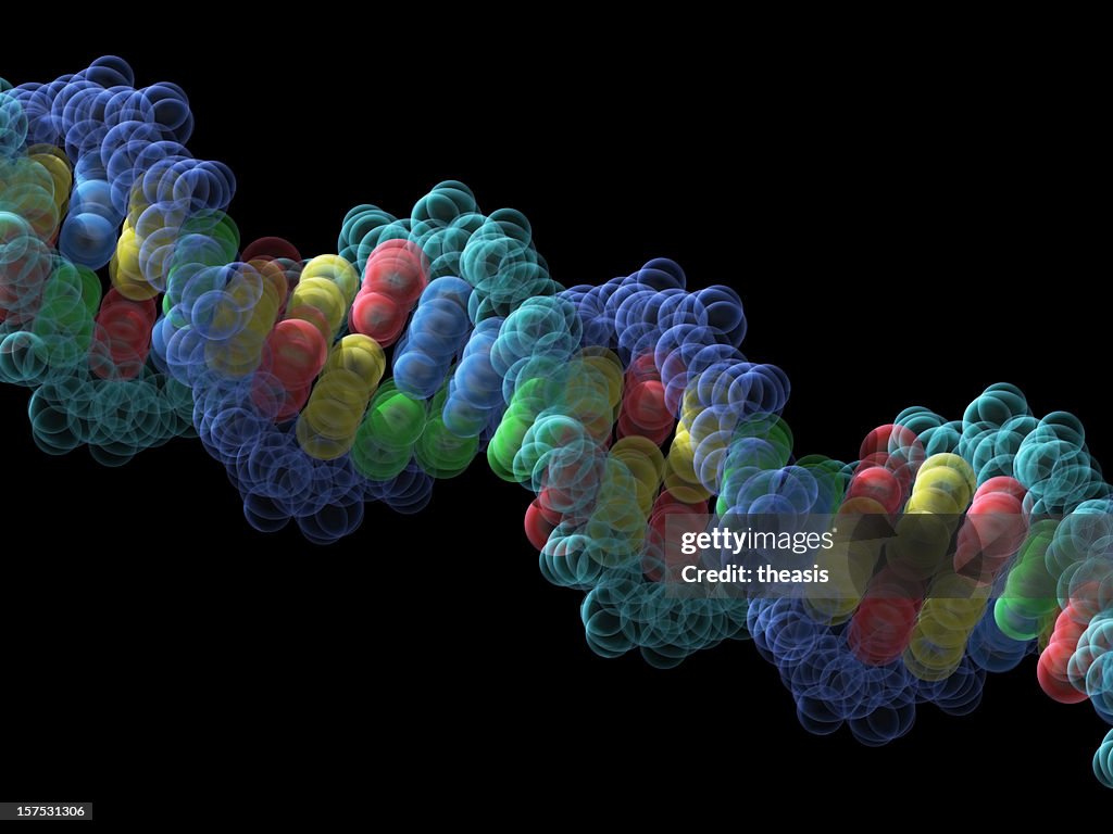 Colorful model of helix DNA strand