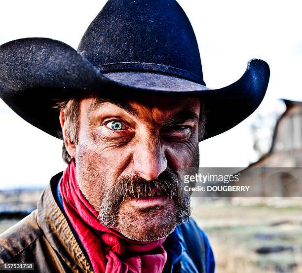 1 068 photos et images de Funny Cowboy - Getty Images