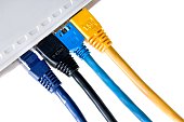 connected! cable pluggeg in lan router on white