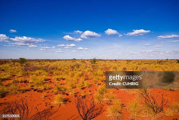 outback-landschaft - australia stock-fotos und bilder